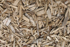 biomass boilers Guyhirn Gull