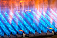 Guyhirn Gull gas fired boilers